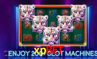 xpbet: A Experiência de Casino com Jogos de Mesa ao Vivo